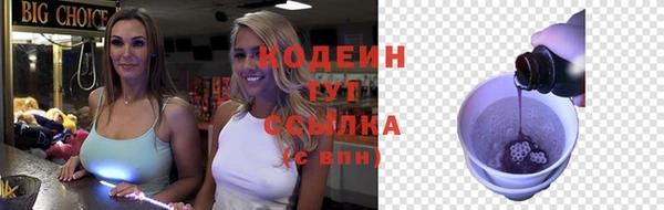 СК Новозыбков