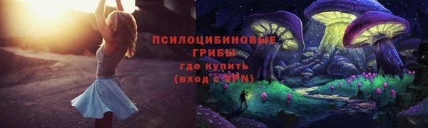 бутират Новодвинск