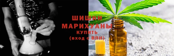 СК Новозыбков
