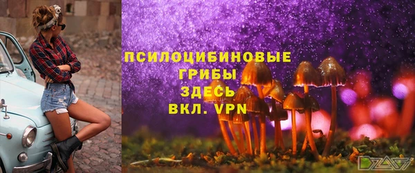 бутират Новодвинск