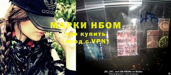 СК Новозыбков