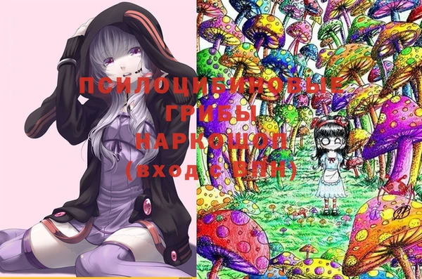 гидра Новокубанск