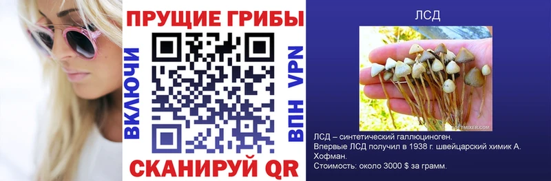 blacksprut маркетплейс  Тарко-Сале  Псилоцибиновые грибы прущие грибы 
