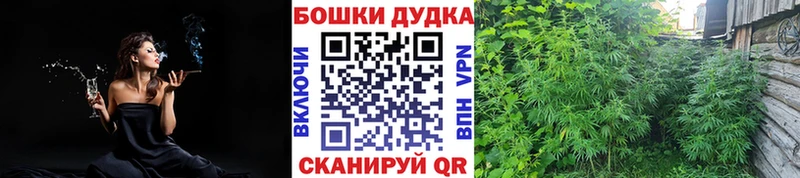 Канабис MAZAR  OMG вход  Тарко-Сале 